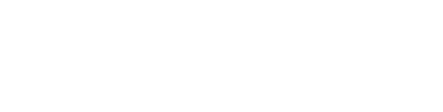 Metis |  Excelência em Serviços